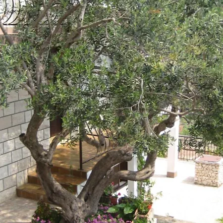 Apartment Nina Seget Vranjica