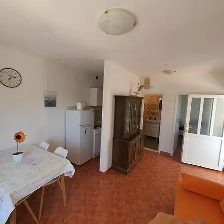 Nina * Seget Vranjica