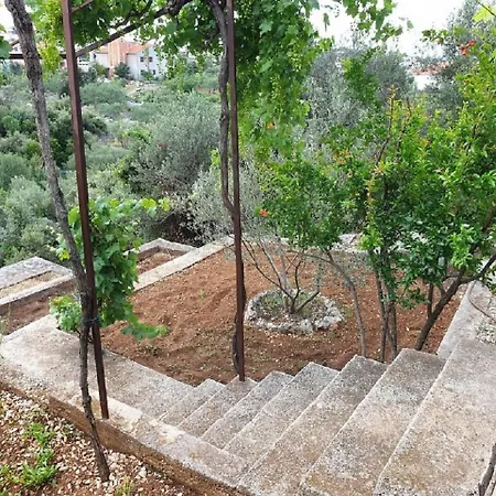 Nina * Seget Vranjica